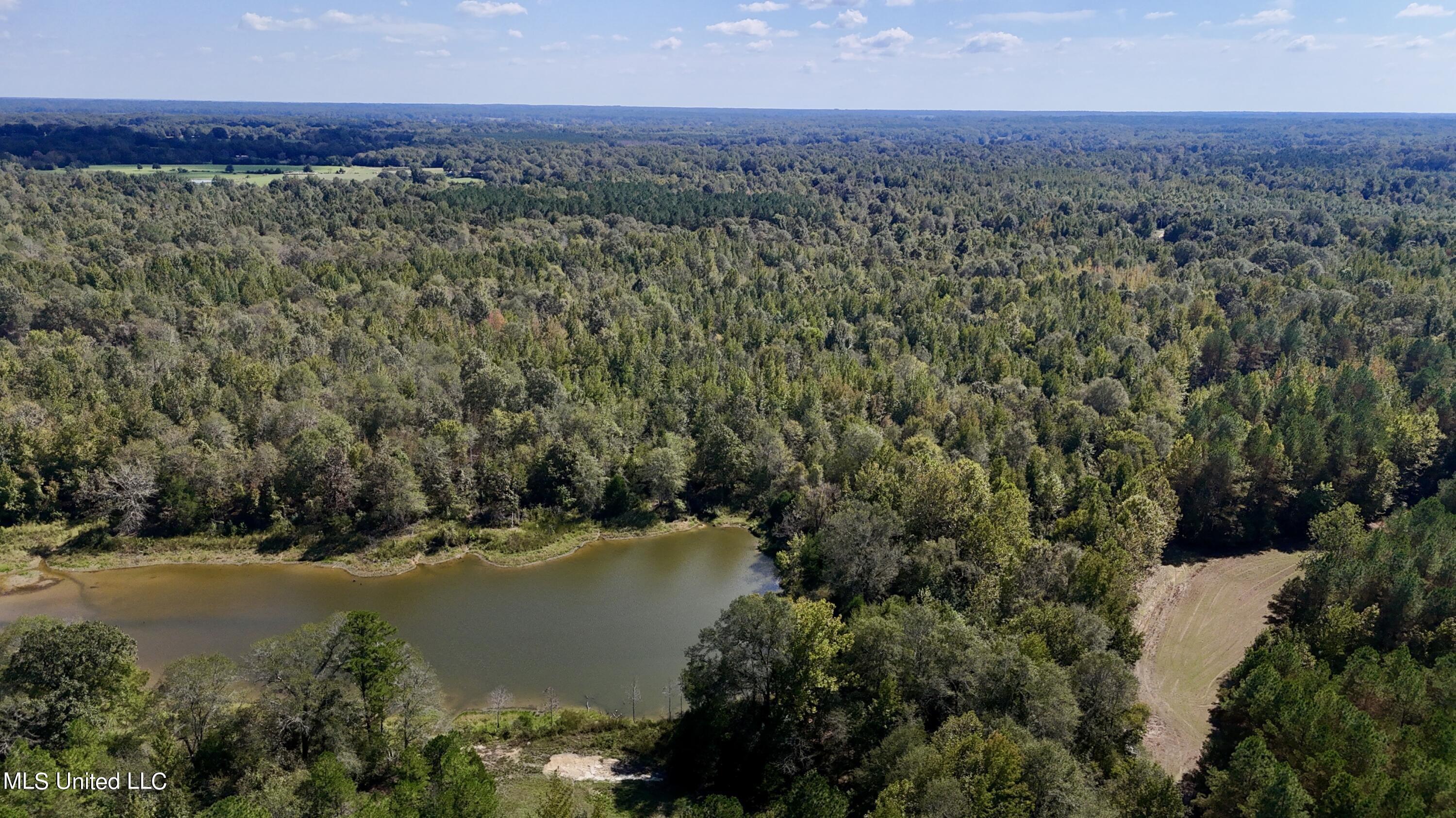 502 Henry Place Road Benton, MS 39039 - Photo 65 of 78 071BF09A-1395-462D-9983-99548B7E4FF9