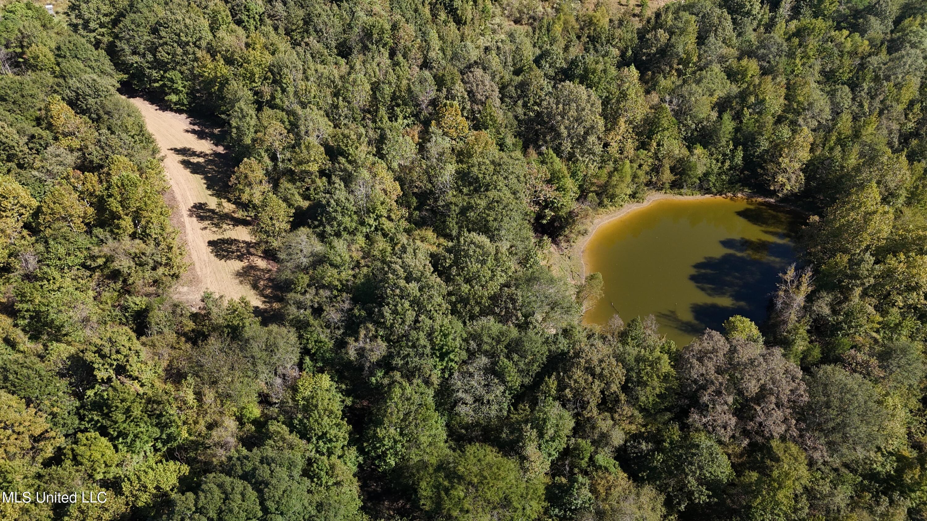502 Henry Place Road Benton, MS 39039 - Photo 66 of 78 E5C5479E-2D50-4FC4-B230-C0085E4F7CFB