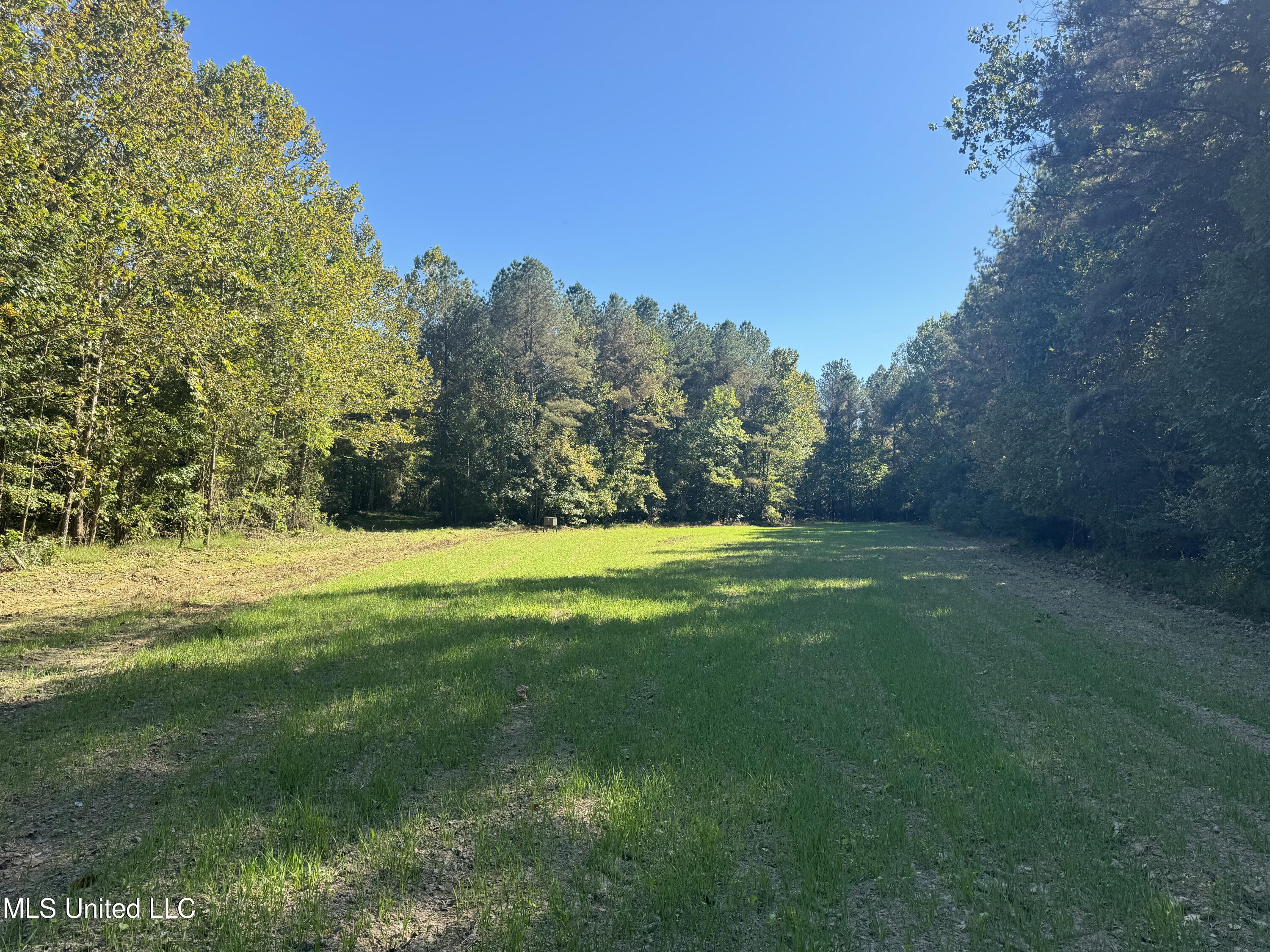502 Henry Place Road Benton, MS 39039 - Photo 68 of 78 85E75873-59A0-4D0F-9B0E-8E31FF5516AD