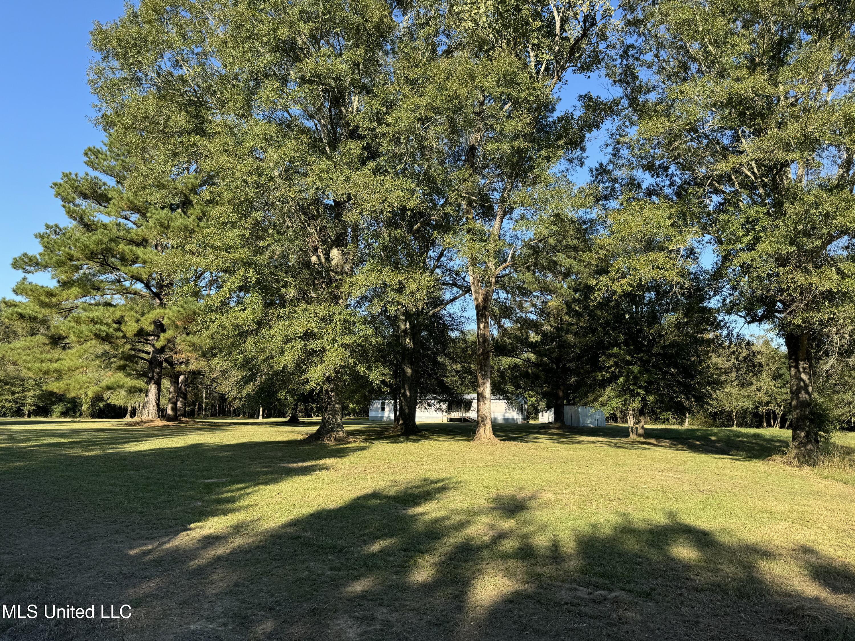 502 Henry Place Road Benton, MS 39039 - Photo 78 of 78 C1CE3ED3-2F73-4CBC-A4BB-AE85BDB55FB2