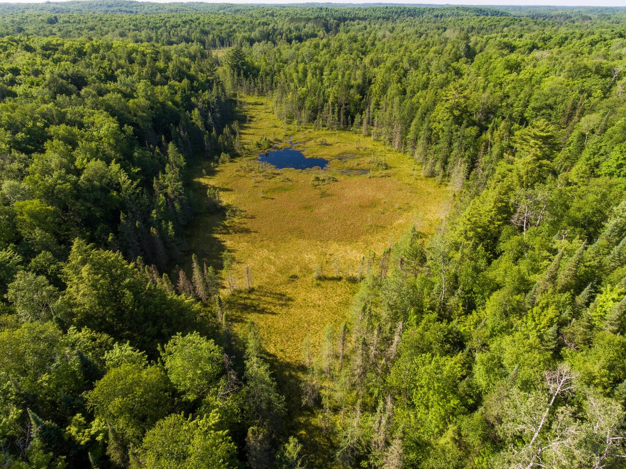 Lot 1415 Wildcat Road Presque Isle, WI 54557 - Photo 42 of 47 Gallery Image 42