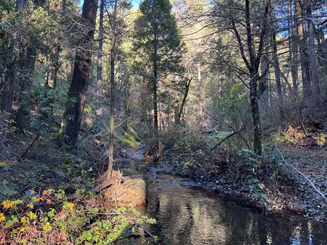 a backyard of a house with a yard and outdoor seating