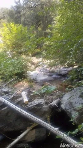 a view of a yard of a house