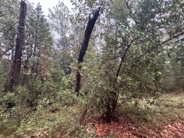 $75,000 | Undisclosed Address, Georgetown, CA 95634