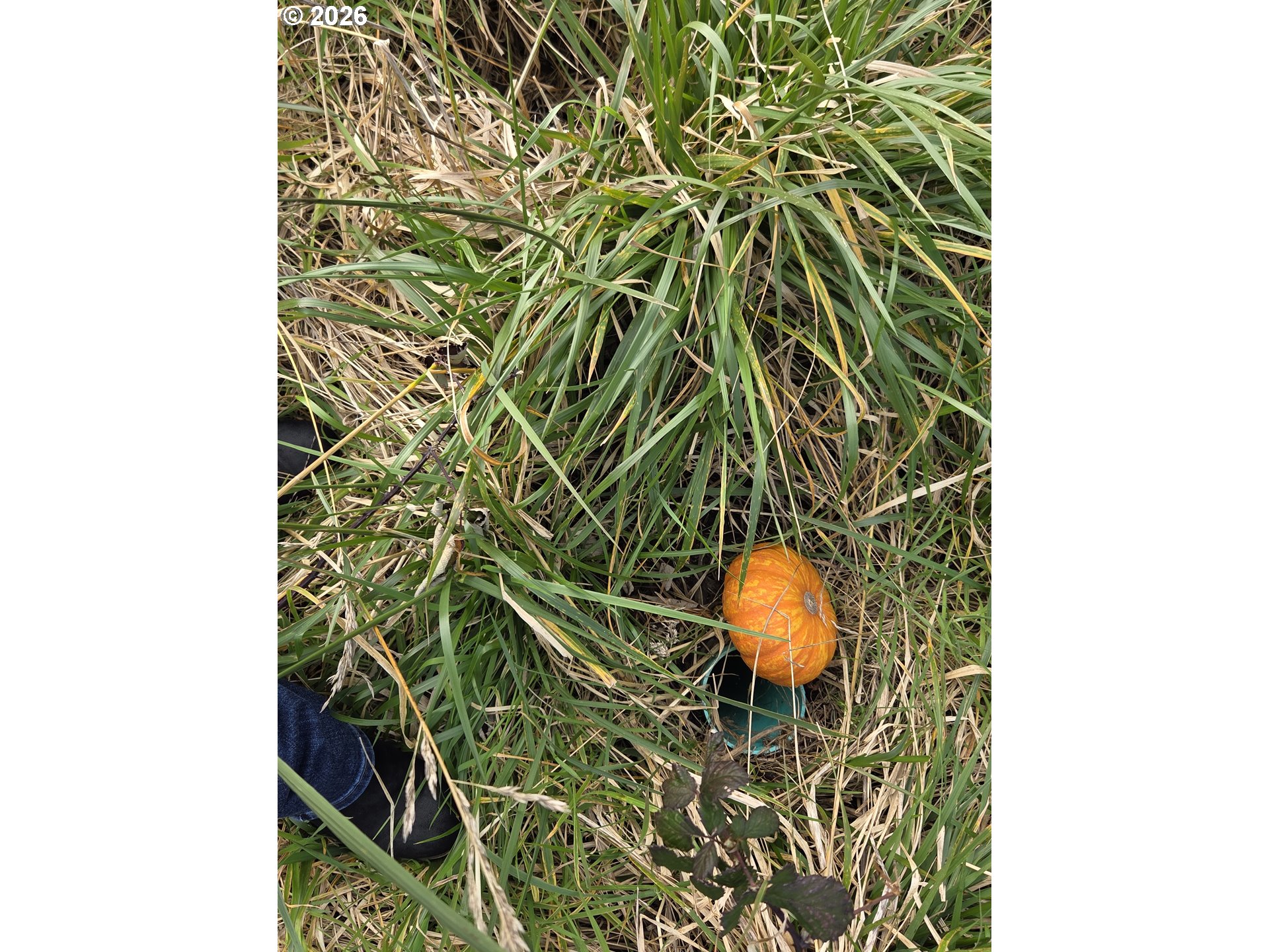 Hume Road, Unit 302 Gold Beach, OR 97444 - Photo 19 of 43