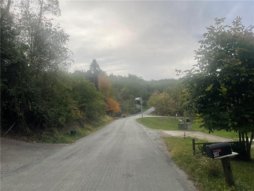 311 Mt Tabor Road Coal Center, PA 15423 - Photo 3 of 10 a view of a pathway with a yard