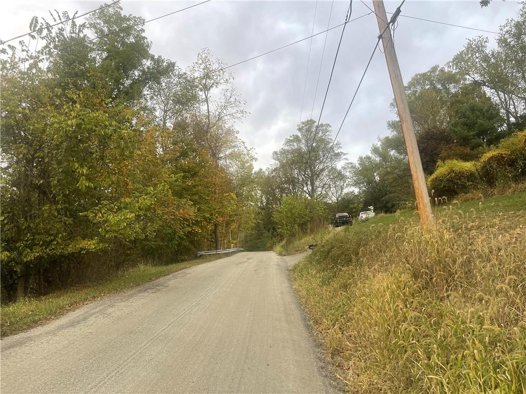 311 Mt Tabor Road Coal Center, PA 15423 - Photo 4 of 10 a view of a yard