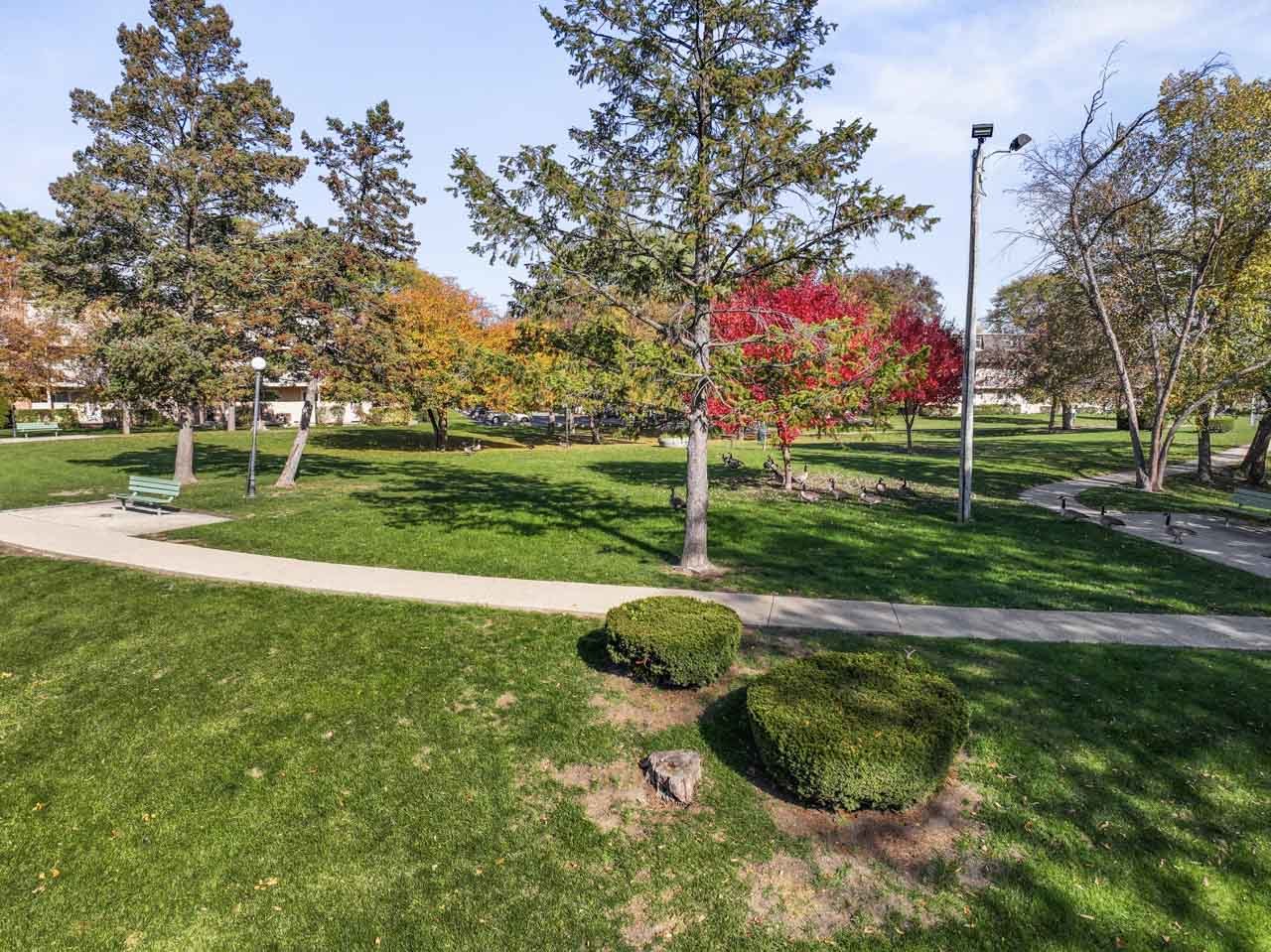 2504 West Algonquin Road, Unit 17 Rolling Meadows, IL 60008 - Photo 17 of 21 a view of a park with large trees