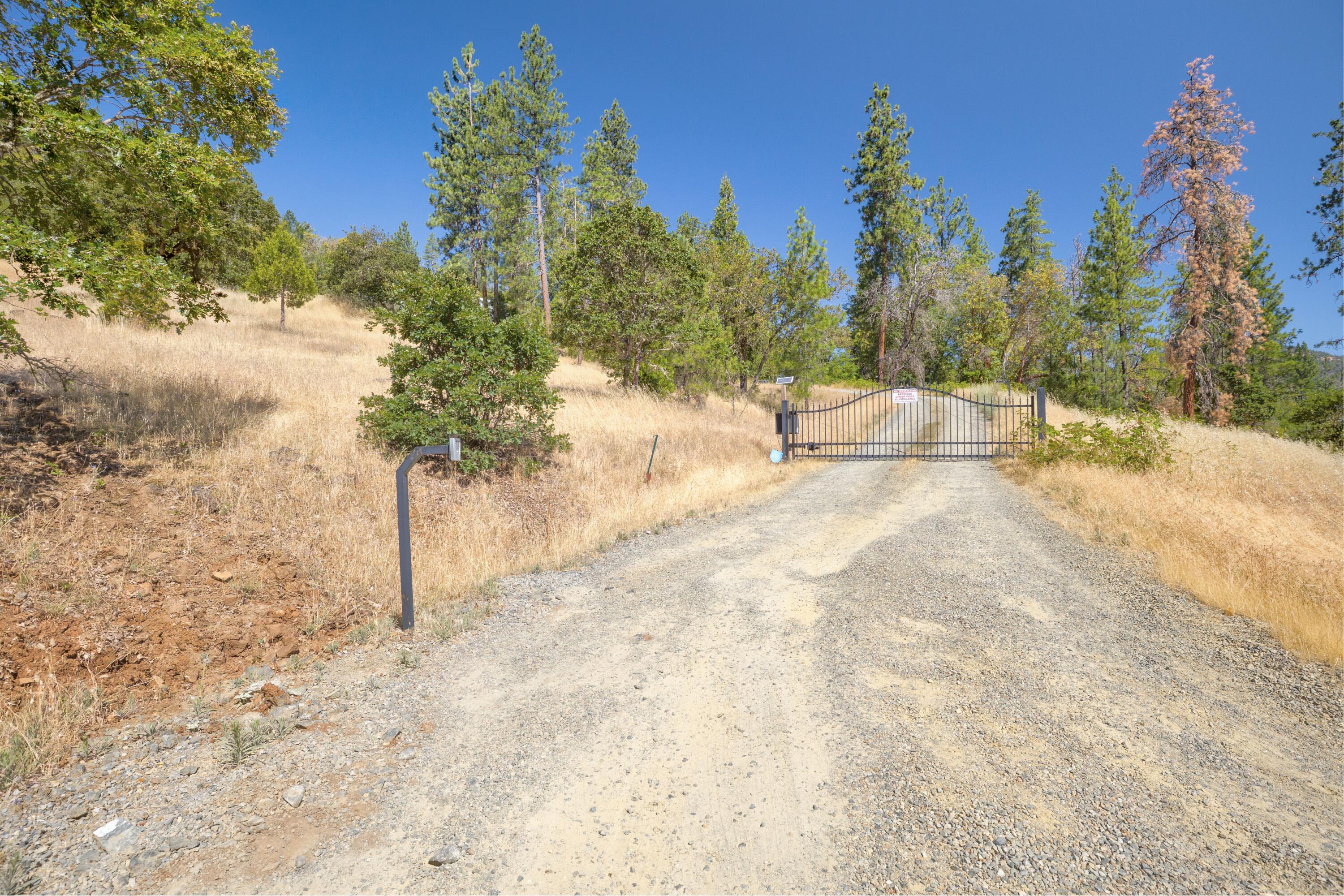 12748 Water Gap Road Williams, OR 97544 - Photo 33 of 35 a view of a yard with a tree