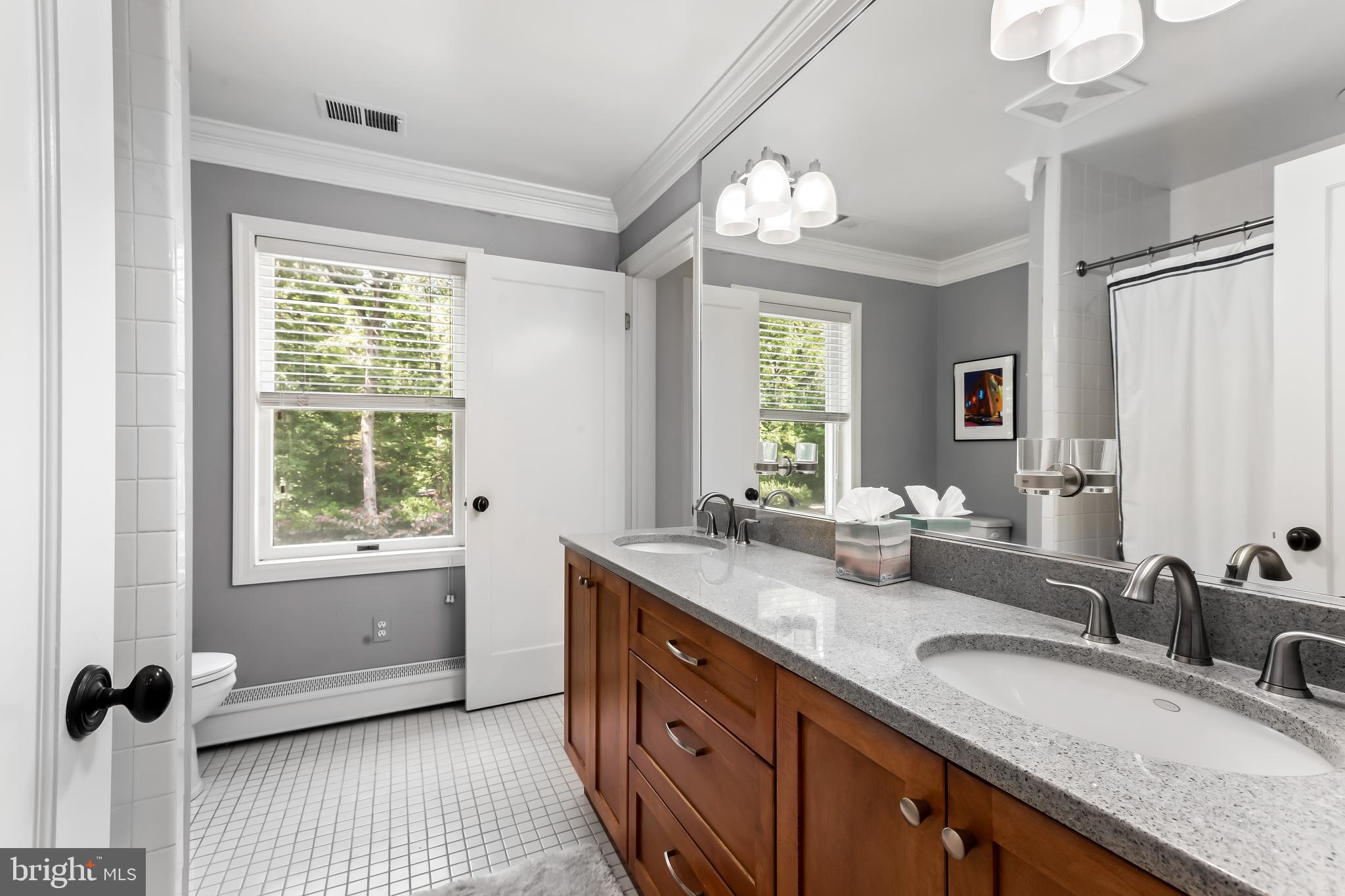 1500 Broadway Road Lutherville-Timonium, MD 21093 - Photo 64 of 86 Hall bath with double sinks and 2 access points