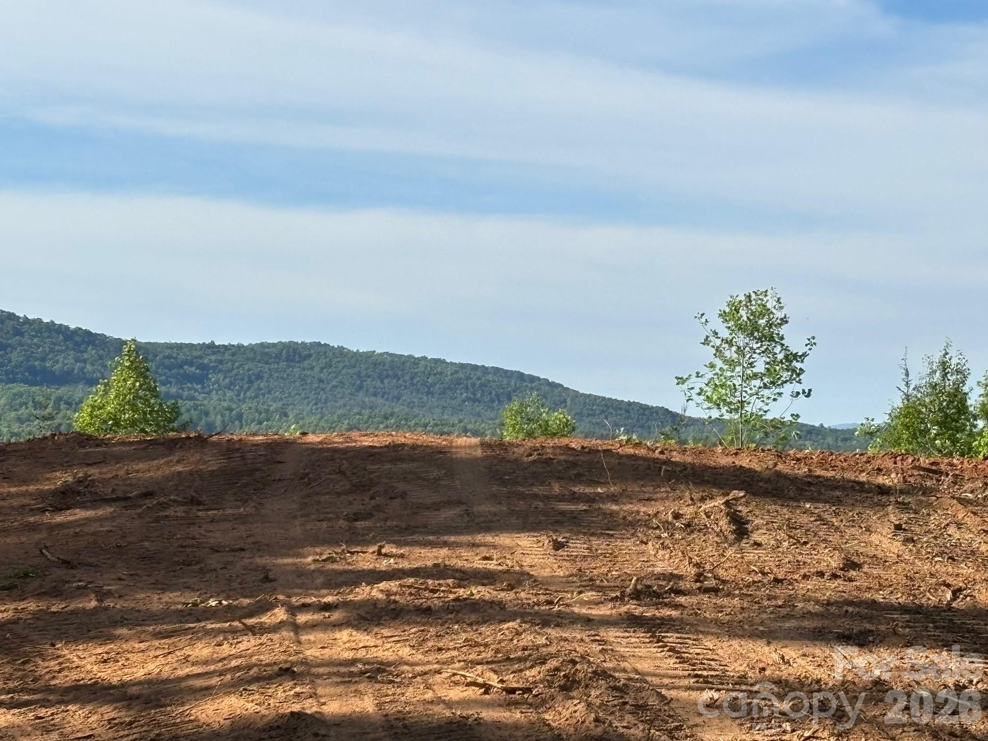 Tbd Vein Mountain Road, Unit 6 Nebo, NC 28761 - Photo 10 of 15