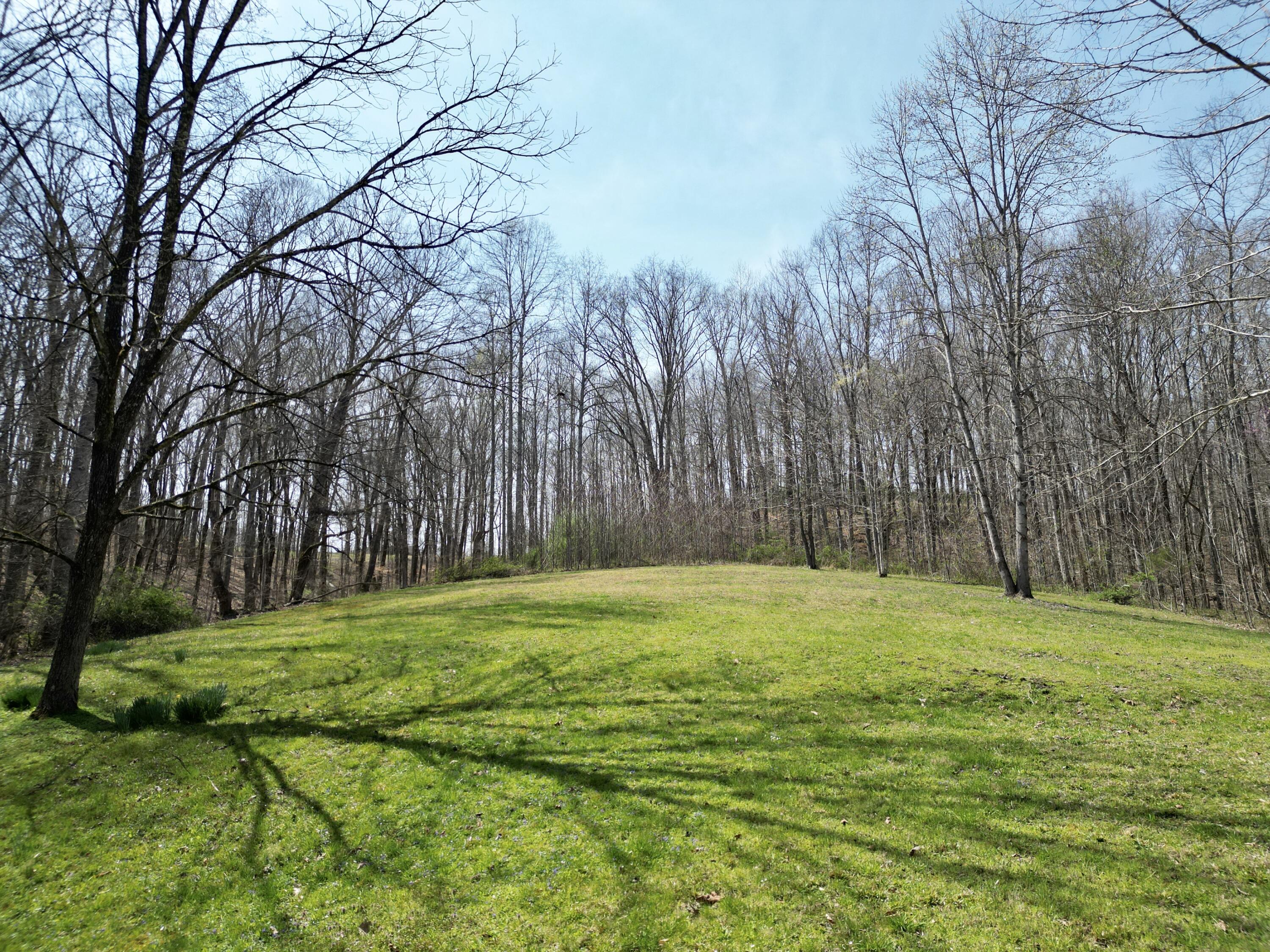 400 D D Wilson Road Knifley, KY 42753 - Photo 85 of 106 dji_fly_20260323_074432_564_177557140952