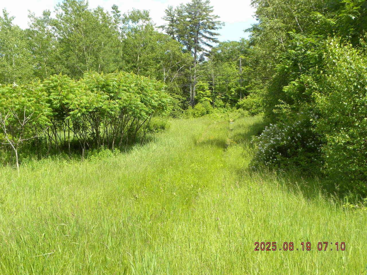 105 Garland Road West Newfield, ME 04095 - Photo 52 of 63 DSCN9420