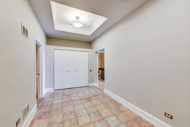 a living room with furniture a rug a potted plant and a fireplace
