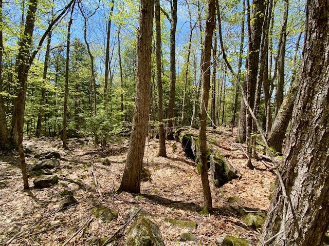 1029 N Road Parsonsfield, ME 04047 - Photo 13 of 27 IMG_5204
