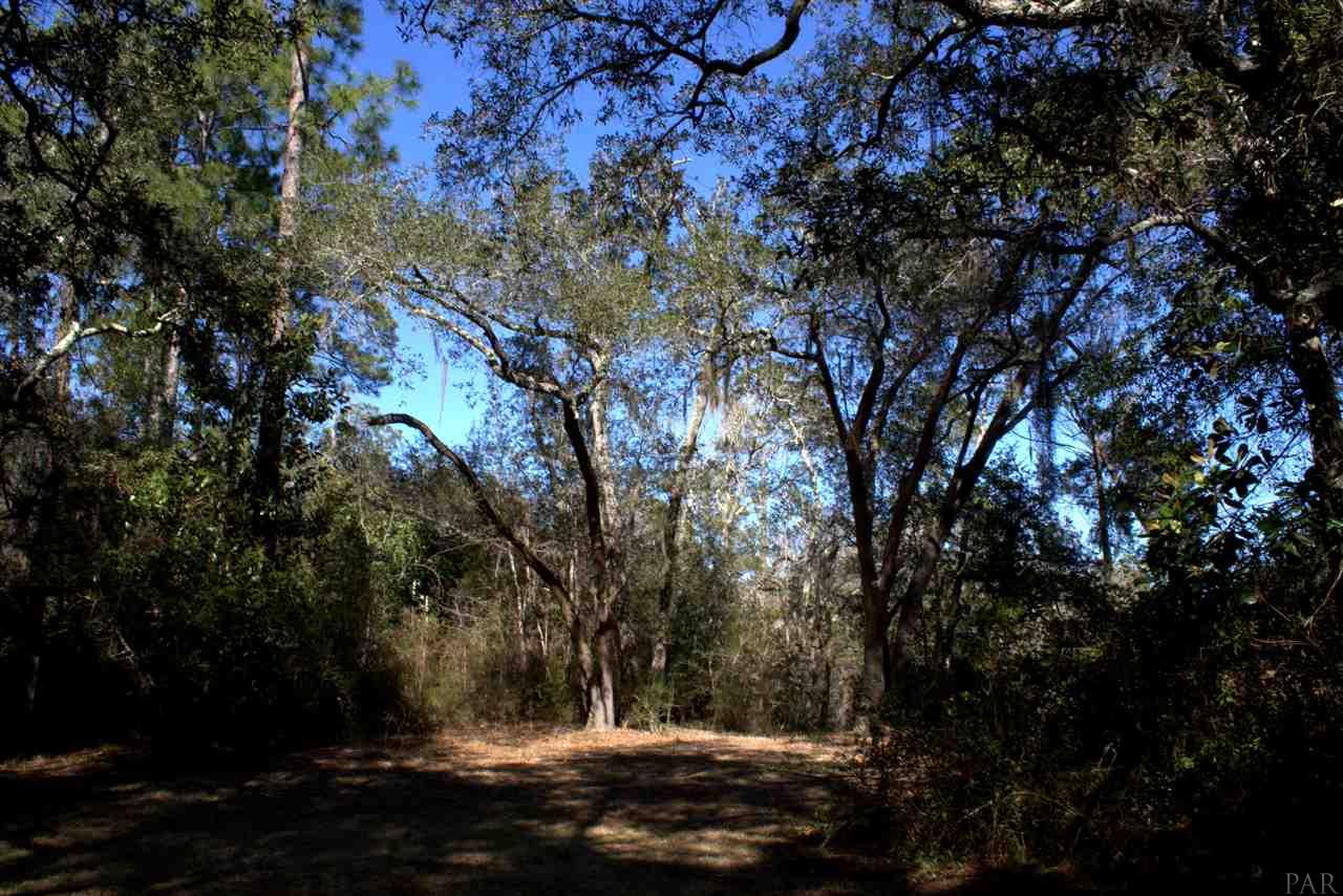 7734 River Road Milton, FL 32583 - Photo 3 of 19 Gallery Image 3