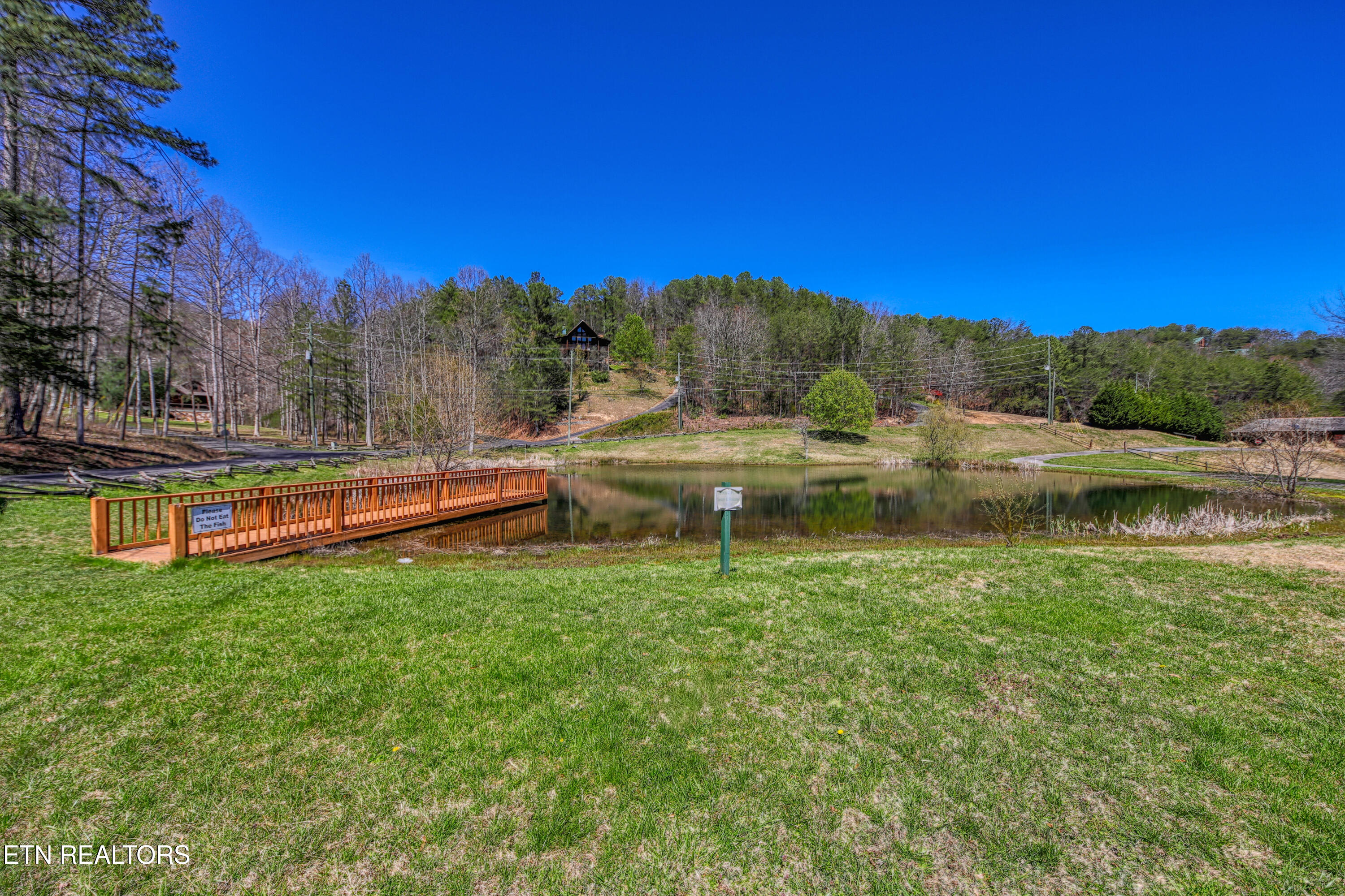 2621 Raccoon Hollow Way Pigeon Forge, TN 37862 - Photo 36 of 47 0H3A4627_168