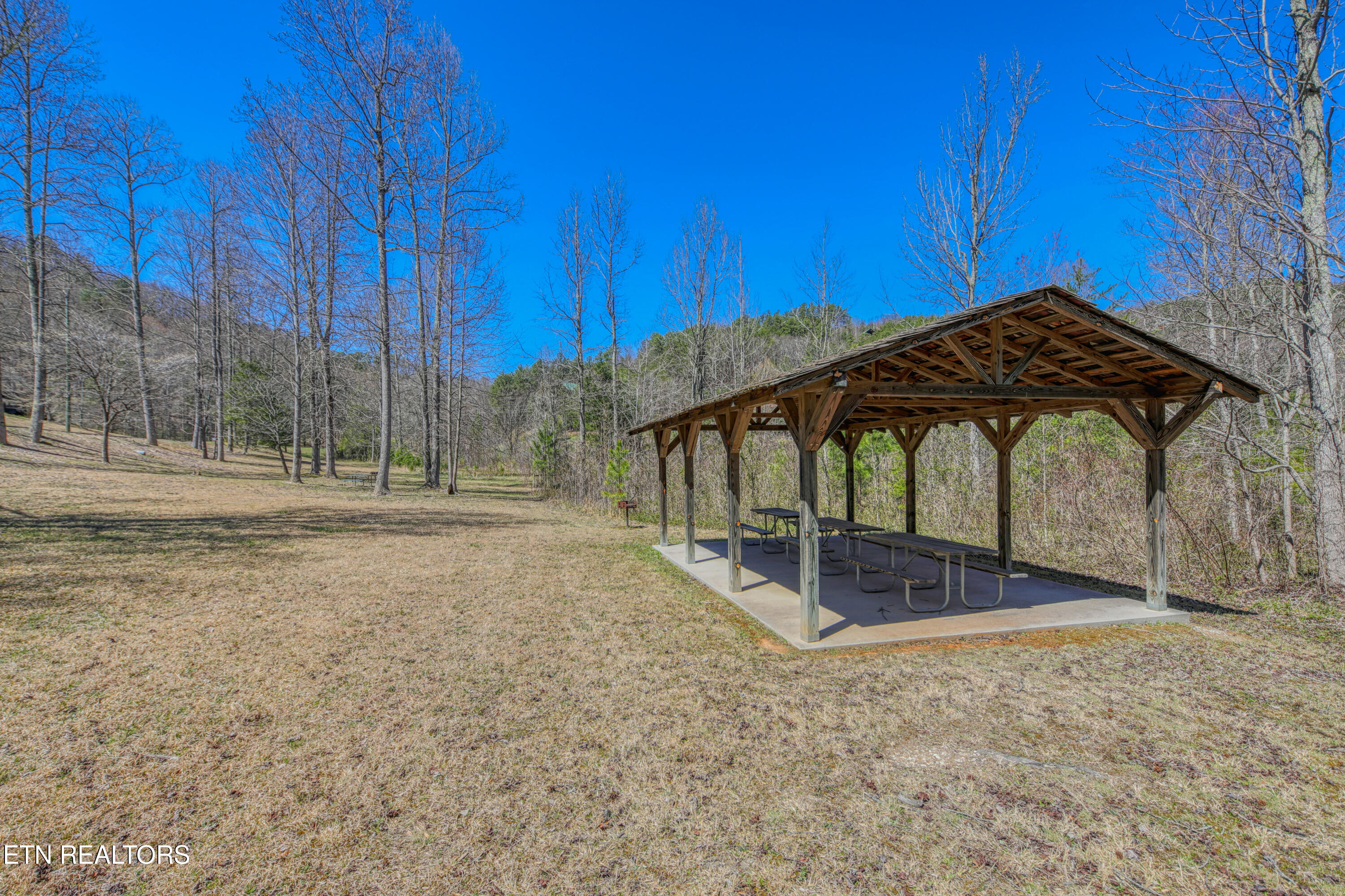 2621 Raccoon Hollow Way Pigeon Forge, TN 37862 - Photo 41 of 47 0H3A4634_174
