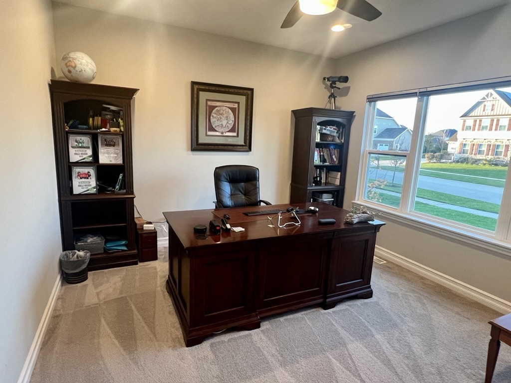 4328 Carpenter Road Naperville, IL 60564 - Photo 24 of 58 Gallery Image 24