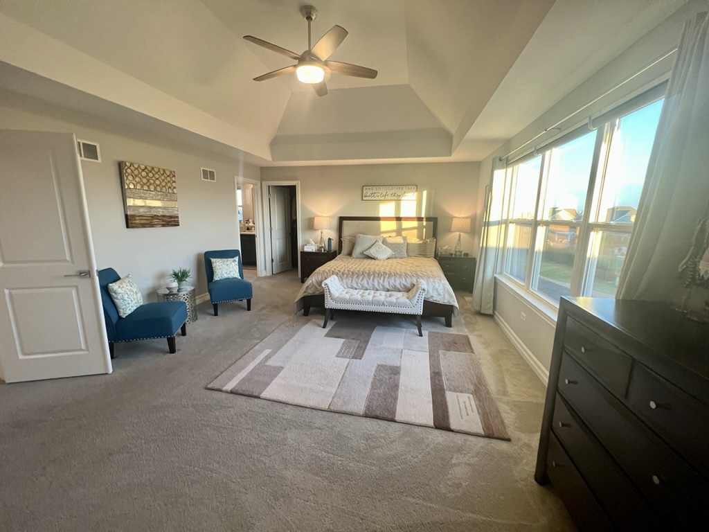 4328 Carpenter Road Naperville, IL 60564 - Photo 29 of 58 Gallery Image 29