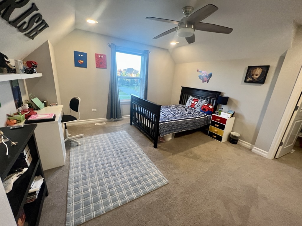 4328 Carpenter Road Naperville, IL 60564 - Photo 30 of 58 Gallery Image 30