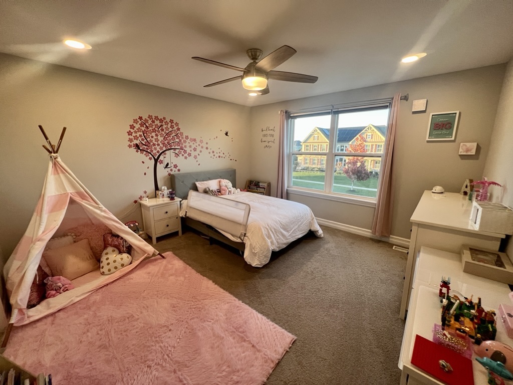 4328 Carpenter Road Naperville, IL 60564 - Photo 36 of 58 Gallery Image 36