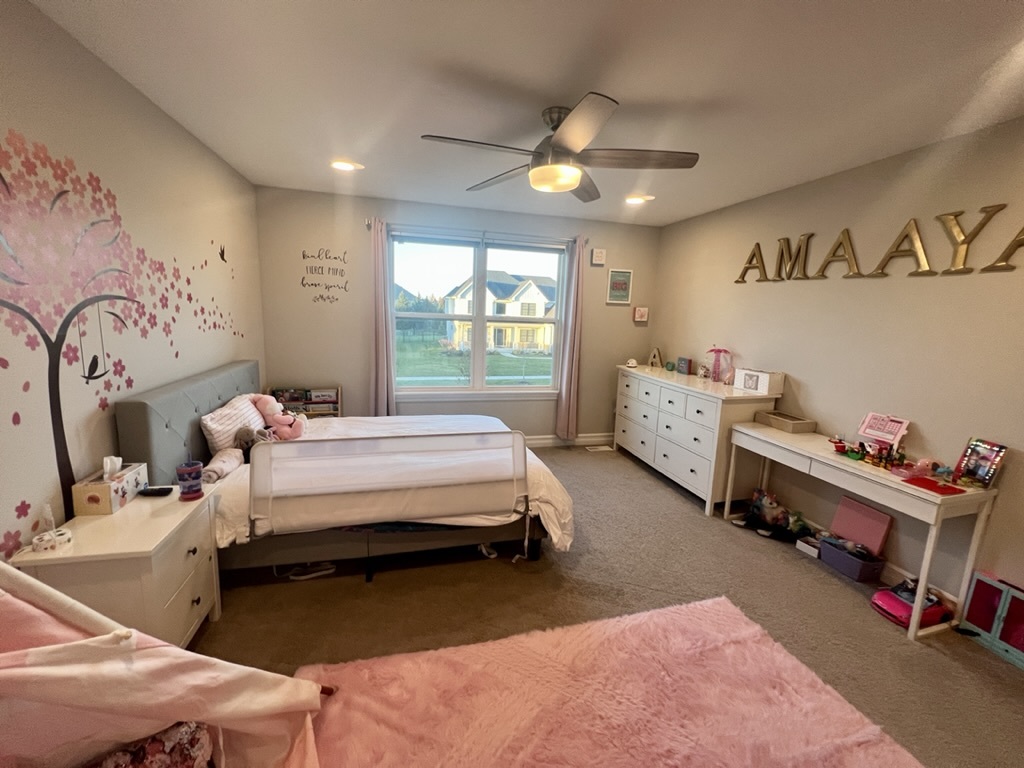4328 Carpenter Road Naperville, IL 60564 - Photo 37 of 58 Gallery Image 37