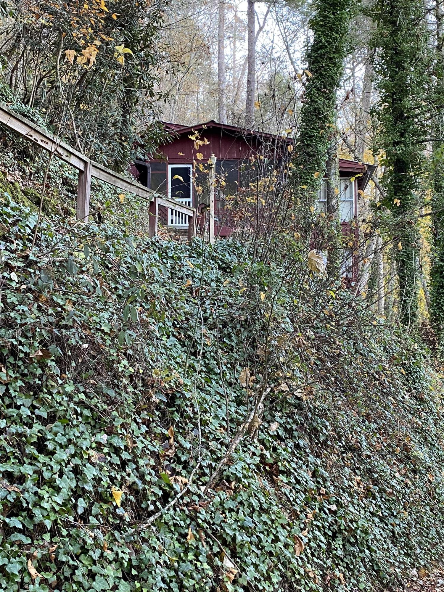 138 Mt Luke Road Townsend, TN 37882 - Photo 5 of 7 138 mt luke wooded view