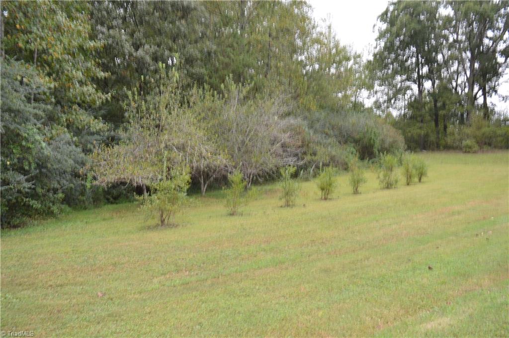 261 Jacobs Creek Road Madison, NC 27025 - Photo 25 of 30
