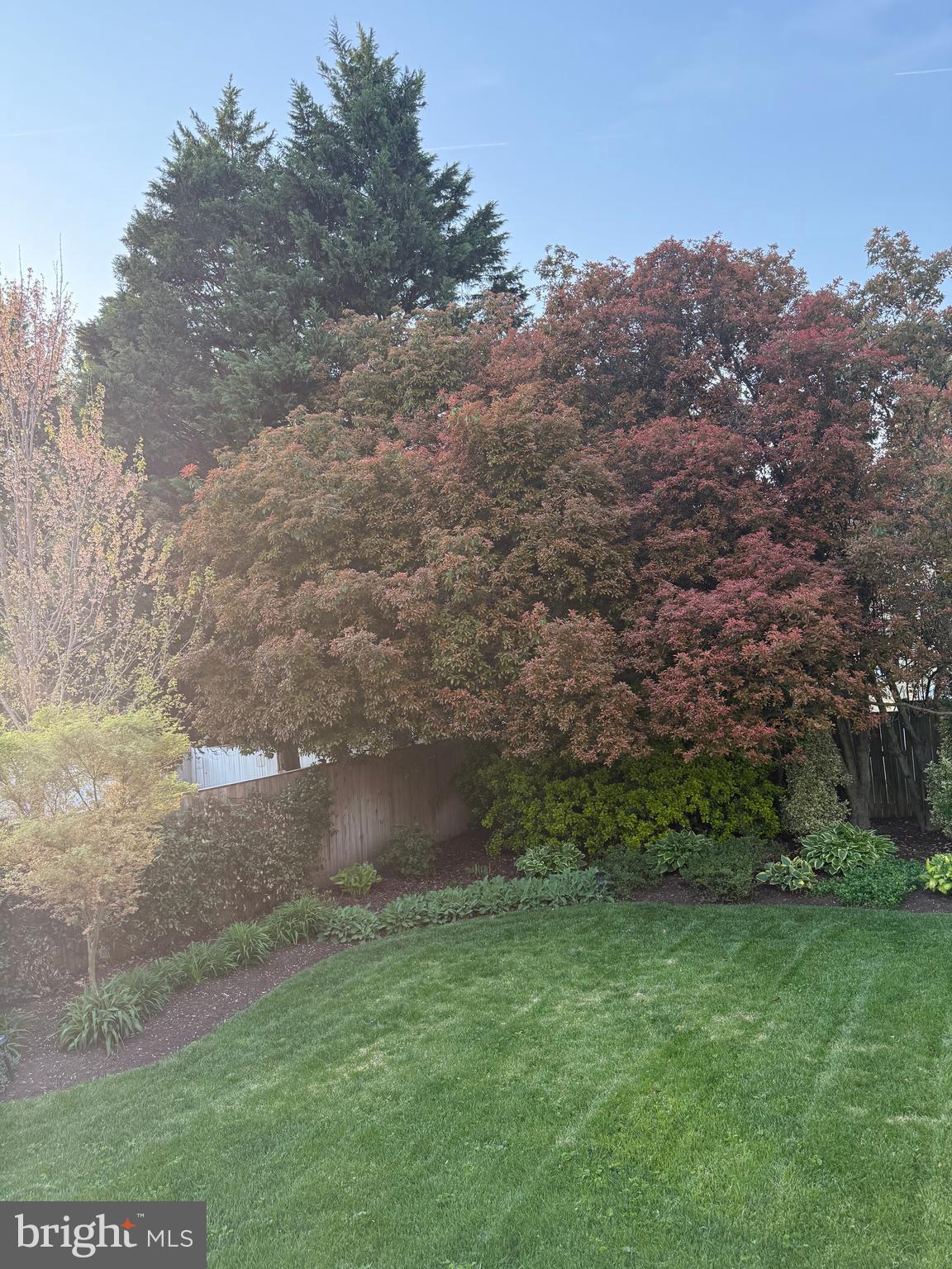 8113 Wellington Road Alexandria, VA 22308 - Photo 21 of 60