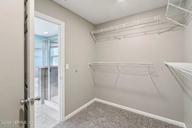 a view of a park with palm trees