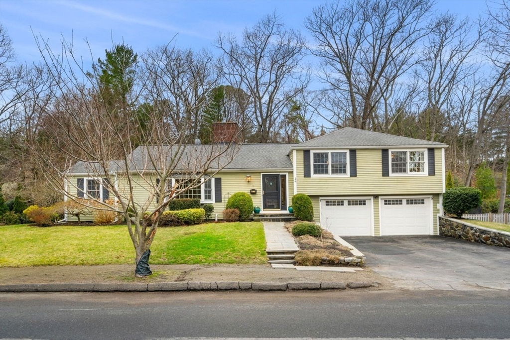 a house that has a tree in front of it