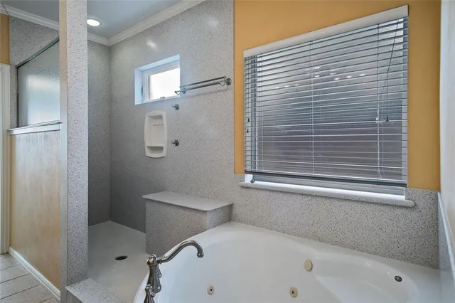 a bathroom with a bathtub and a shower