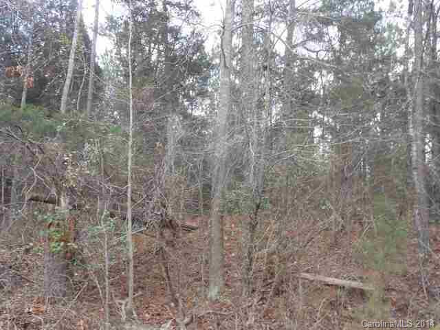 4602 Riverside Road Lancaster, SC 29720 - Photo 2 of 3 Gallery Image 2