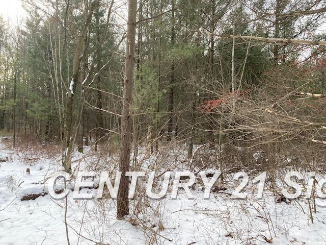 0 West Wackerly Road Sanford, MI 48657 - Photo 4 of 19