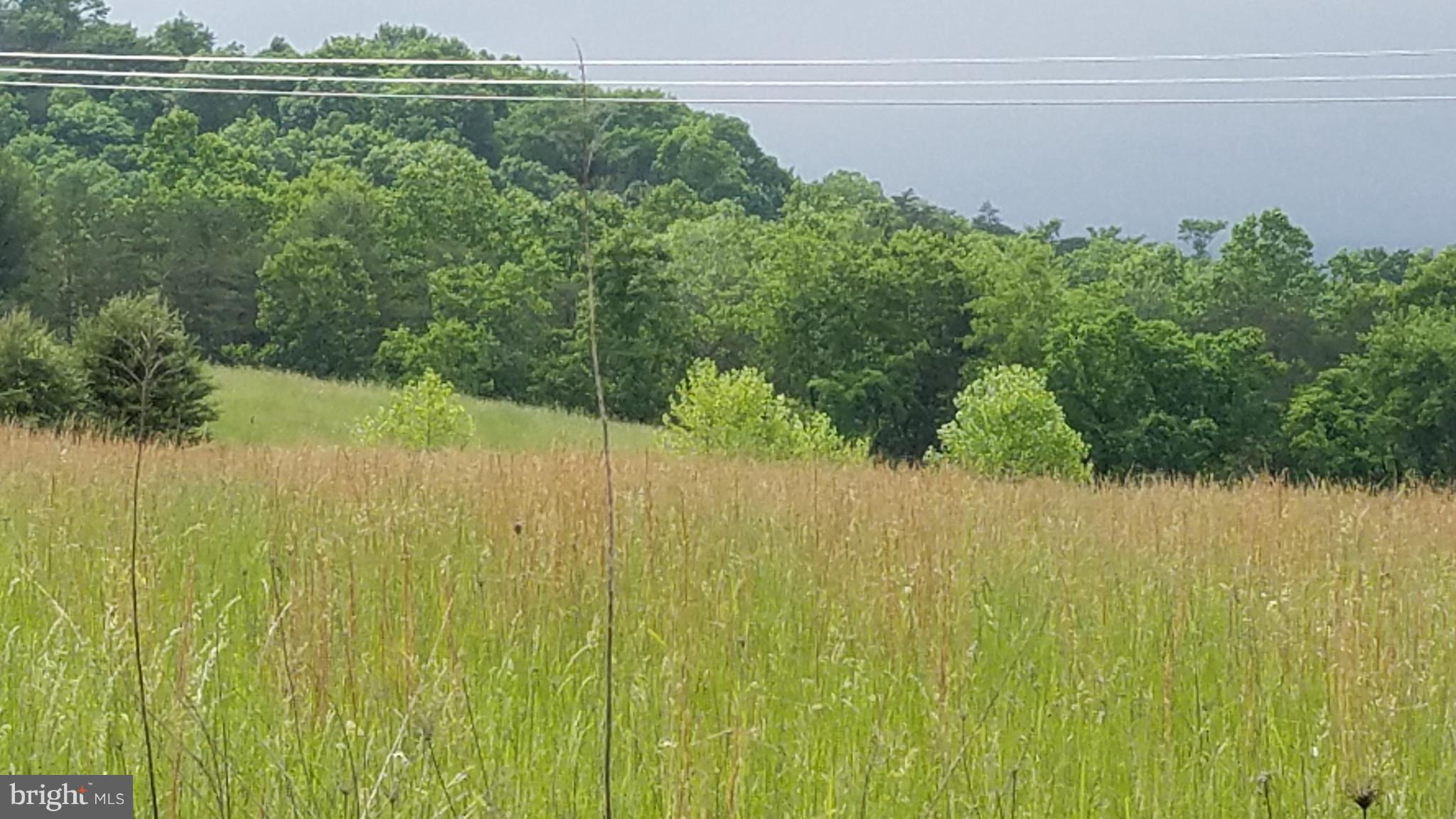Lot 4 Winchester Grade Road Berkeley Springs, WV 25411 - Photo 1 of 4 a view of a lake