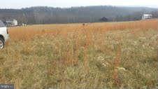 Lot 4 Winchester Grade Road Berkeley Springs, WV 25411 - Photo 3 of 4 a view of yard and ocean