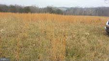 Lot 4 Winchester Grade Road Berkeley Springs, WV 25411 - Photo 4 of 4 a view of a lake view