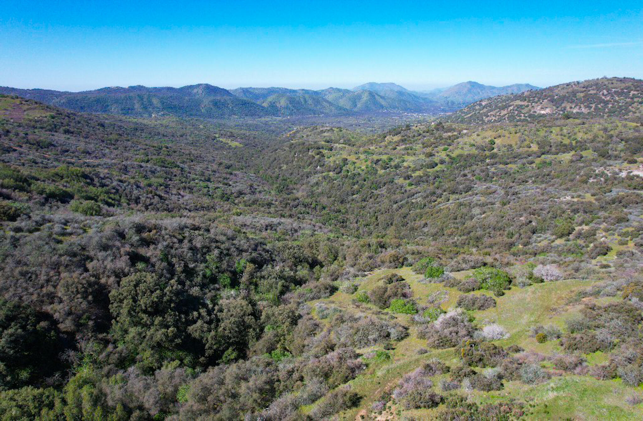 44981 Todd Eymann Road Miramonte, CA 93641 - Photo 3 of 74 DJI_0063