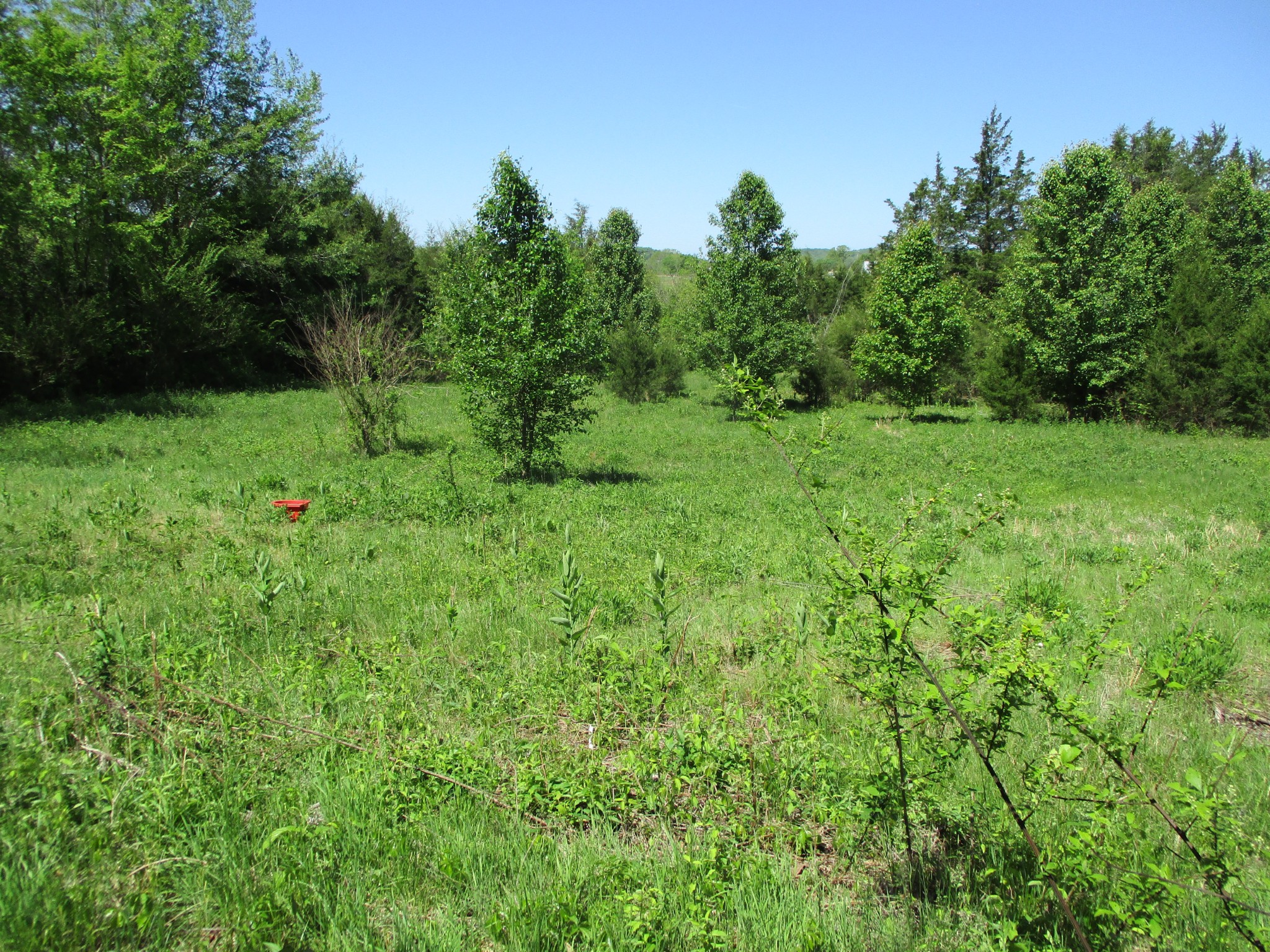 2080 North Commerce Road Lebanon, TN 37090 - Photo 37 of 40 a view of a lush green space