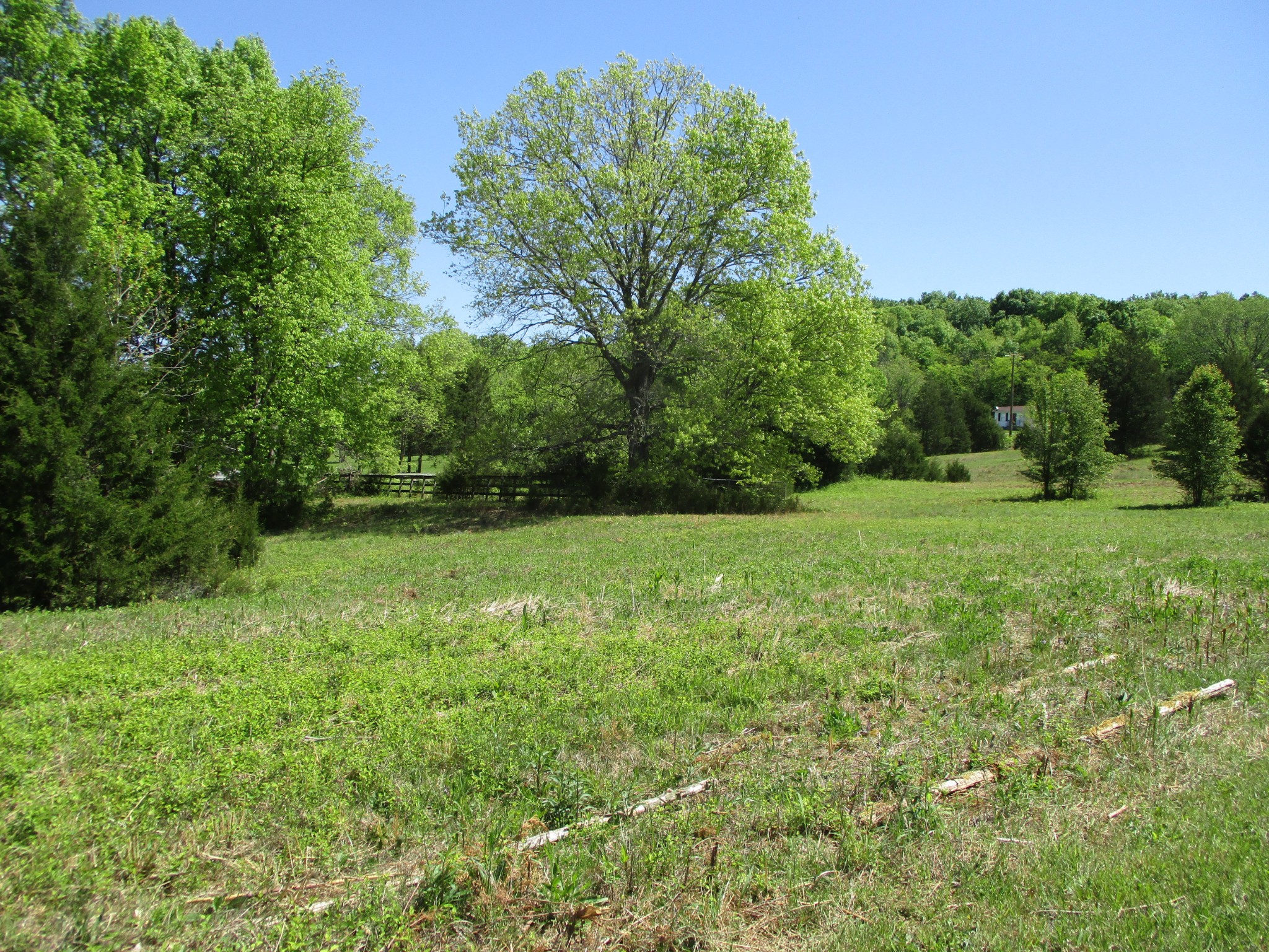 2080 North Commerce Road Lebanon, TN 37090 - Photo 38 of 40 a view of a grassy field with trees in the background