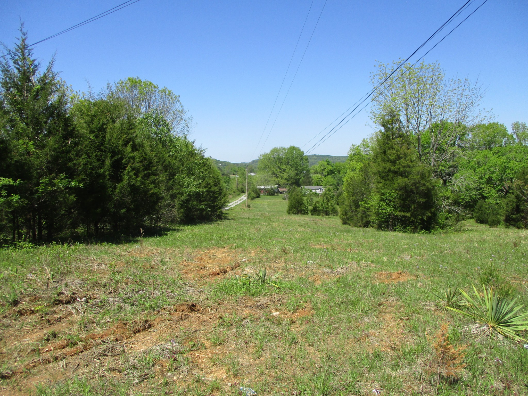 2080 North Commerce Road Lebanon, TN 37090 - Photo 39 of 40 a view of a field with trees in the background