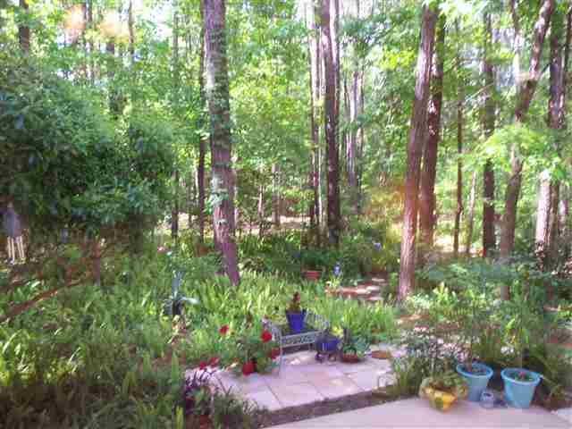 9158 Ravena Road Tallahassee, FL 32309 - Photo 13 of 25 Gallery Image 13