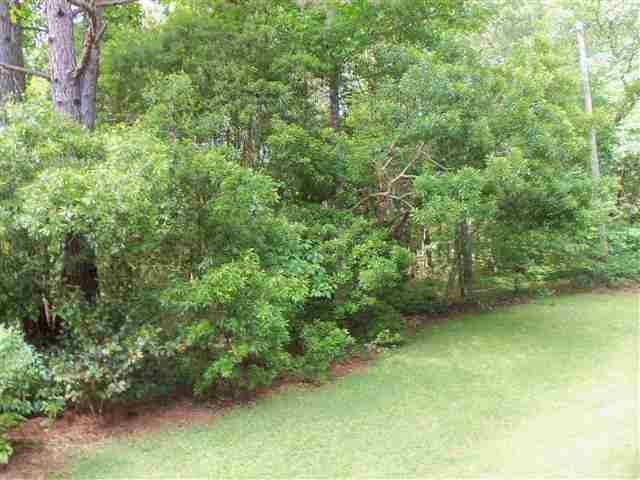 9158 Ravena Road Tallahassee, FL 32309 - Photo 7 of 25 Gallery Image 7