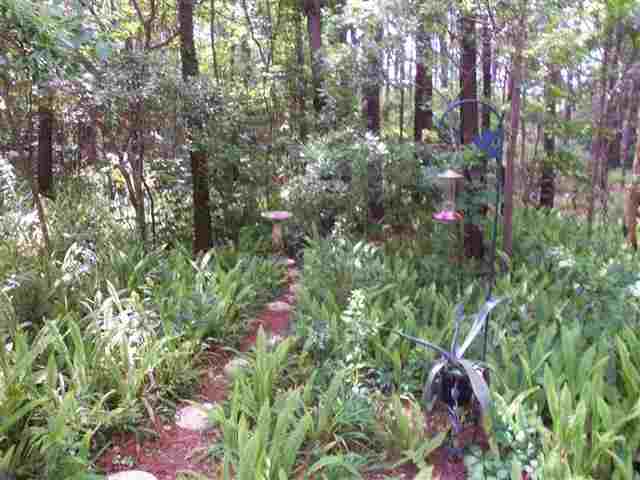 9158 Ravena Road Tallahassee, FL 32309 - Photo 8 of 25 Gallery Image 8