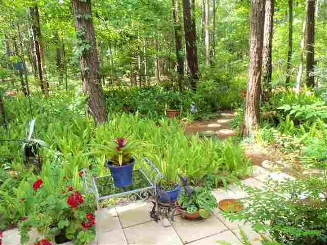 9158 Ravena Road Tallahassee, FL 32309 - Photo 9 of 25 Gallery Image 9