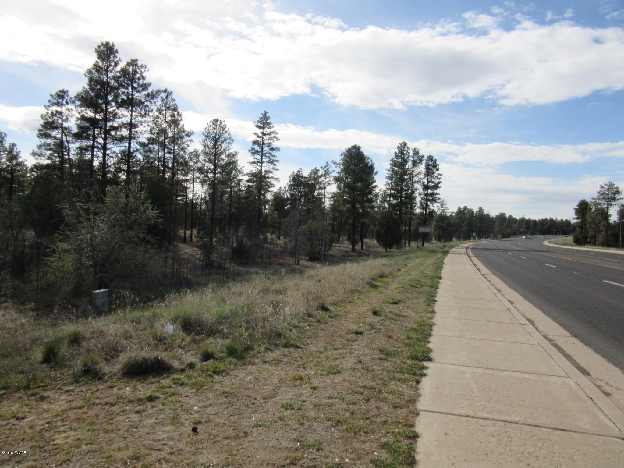 Parcel # North Clark Road Show Low, AZ 85901 - Photo 1 of 13
