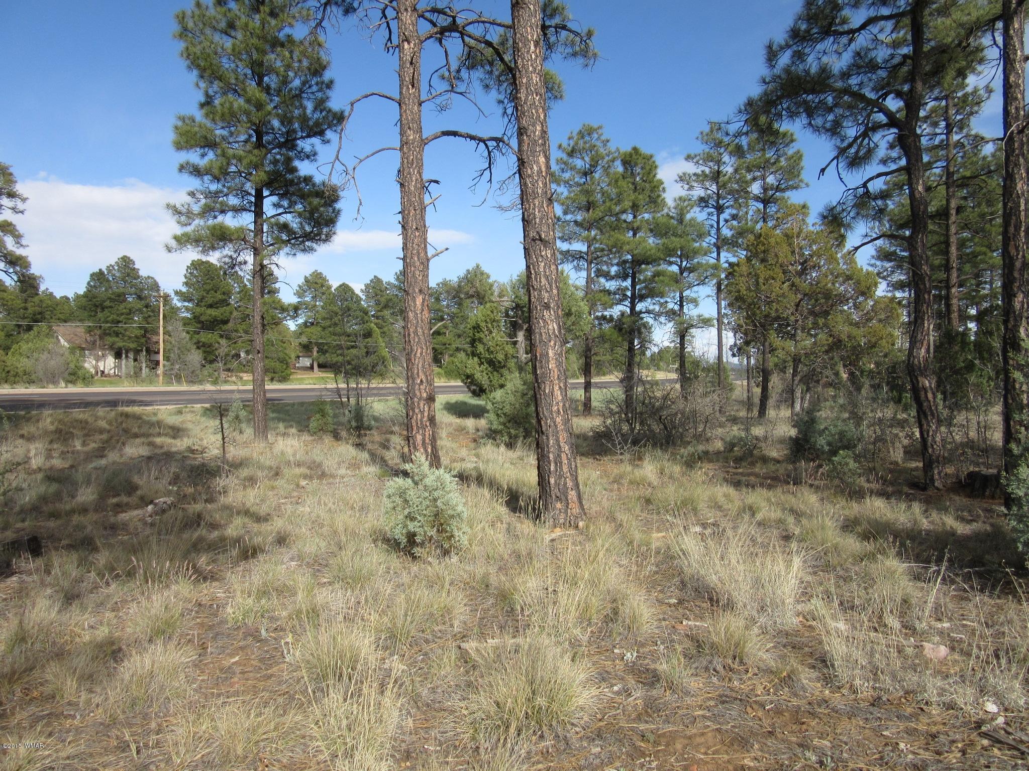 Parcel # North Clark Road Show Low, AZ 85901 - Photo 12 of 13
