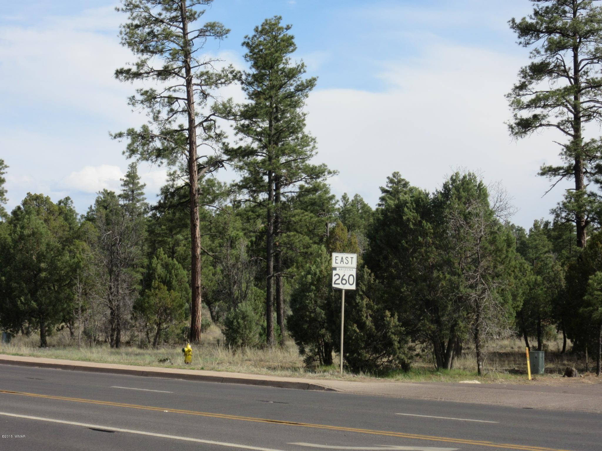 Parcel # North Clark Road Show Low, AZ 85901 - Photo 3 of 13