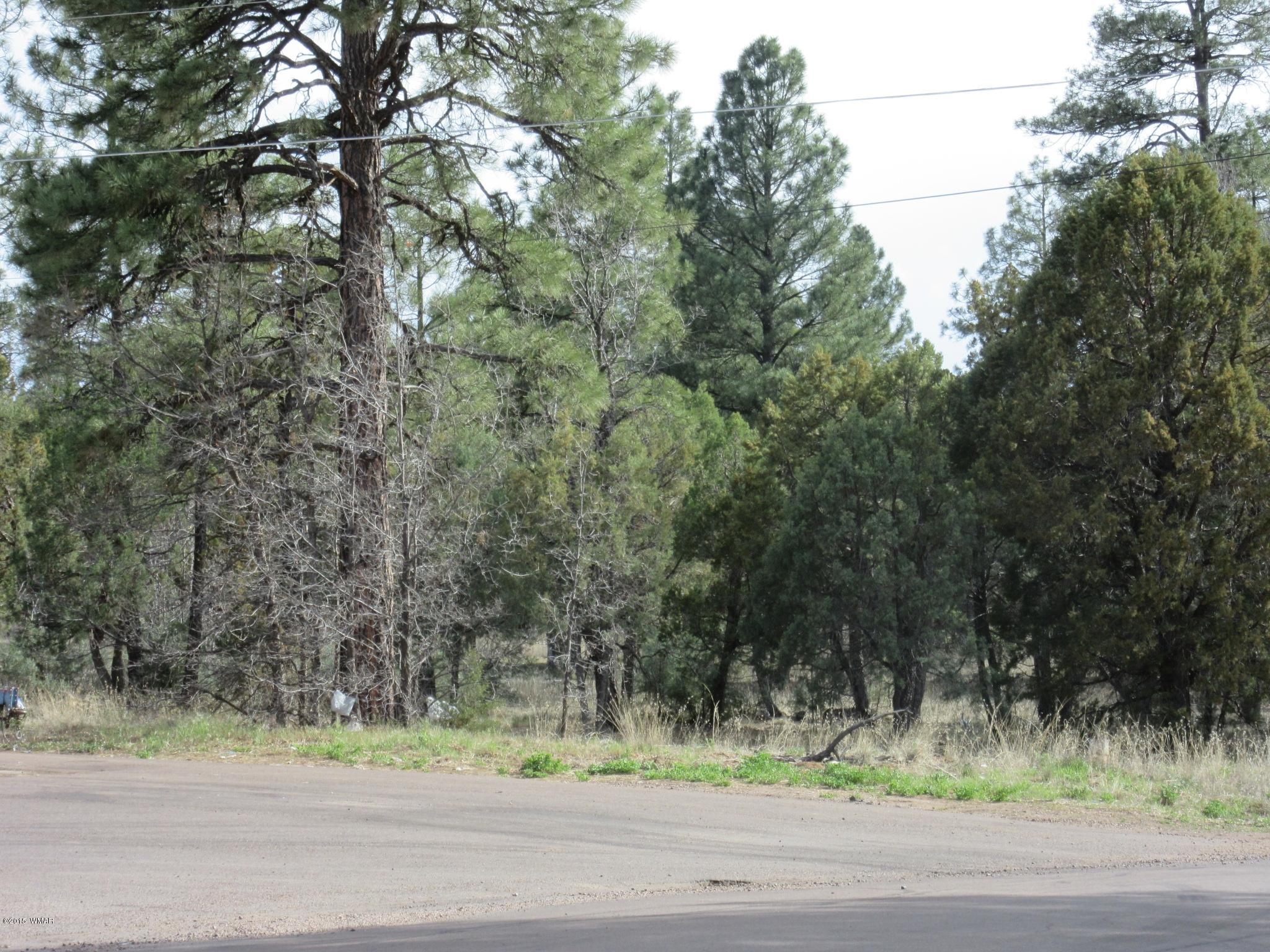 Parcel # North Clark Road Show Low, AZ 85901 - Photo 4 of 13